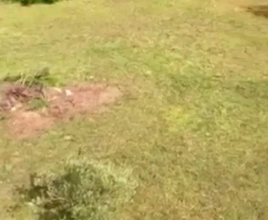 Sale, land lot, 2015m², Centar, Bar