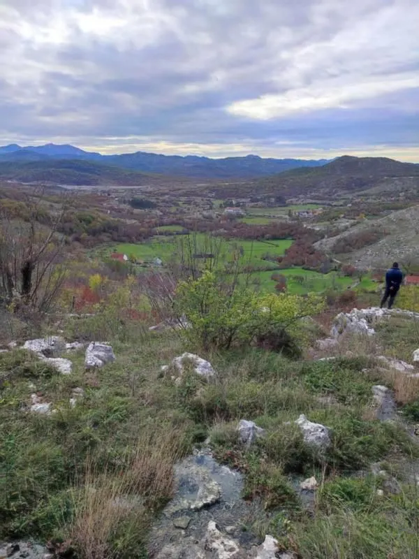 Prodaja, plac, 26000m², Cetinje, Crna Gora