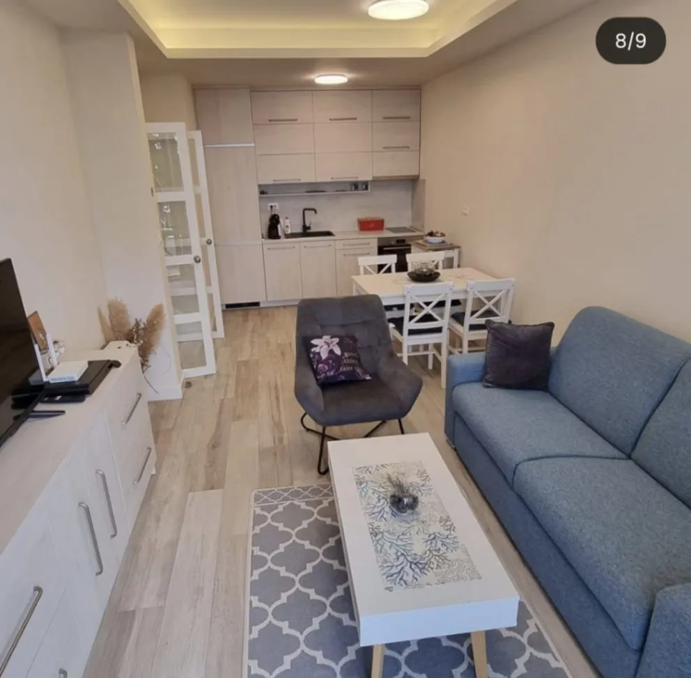 Izdavanje, jednosoban stan, 49m², Petrovac, Budva