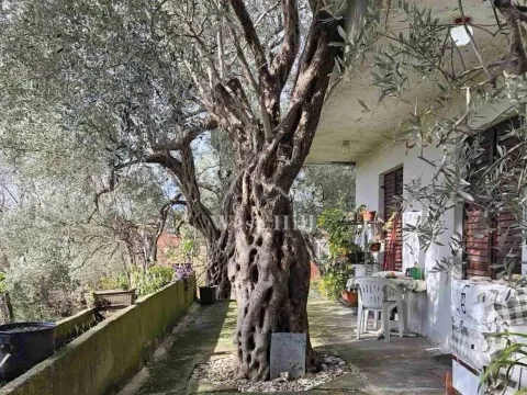 Sale, house, 82m², Bar, Crna Gora