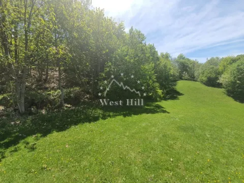 Prodaja, plac, 32000m², Kolašin, Crna Gora - image 4