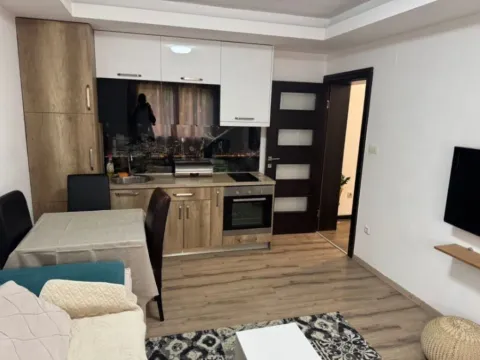 Izdavanje, garsonjera, 45m², Centar, Podgorica - image 4