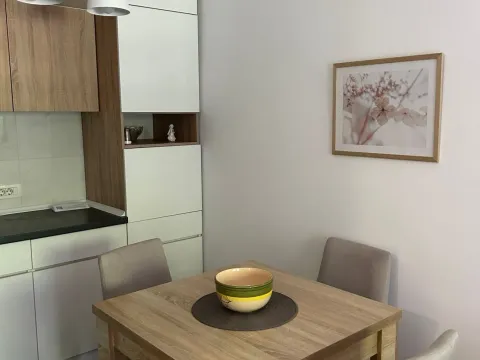 Izdavanje, jednosoban stan, 38m², Blok 5, Podgorica - image 11