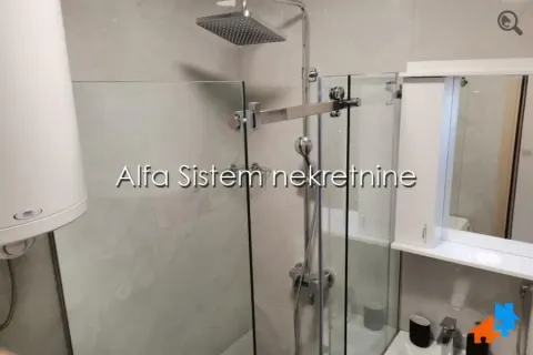 Izdavanje, dvosoban stan, 60m², Stari Merkator, Novi Beograd Sve Podlokacije - image 13