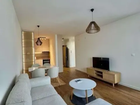 Izdavanje, jednosoban stan, 45m², Stari Aerodrom, Podgorica