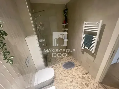 Izdavanje, dvosoban stan, 51m², Savski Venac, Beograd - image 13