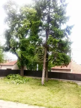 View of the landscaped yard with greenery and trees. - image 14
