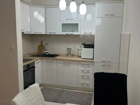 Rent, one bedroom apartment, 50m², Central Point, Podgorica - image 4