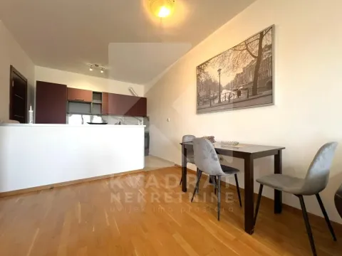 Rent, one bedroom apartment, 53m², Preko Morače, Podgorica - image 3