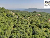 Sale, land lot, 34000m², Mokrine, Herceg Novi - image 6