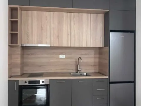 Izdavanje, stan, 46m², Zagorič, Podgorica - image 5