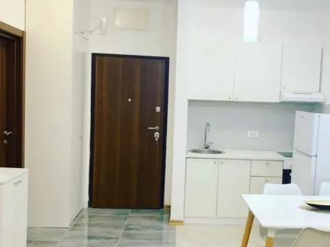 Izdavanje, garsonjera, 31m², Ljubović, Podgorica - image 4