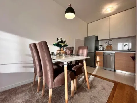 Izdavanje, jednosoban stan, 48m², Central Point, Podgorica - image 4