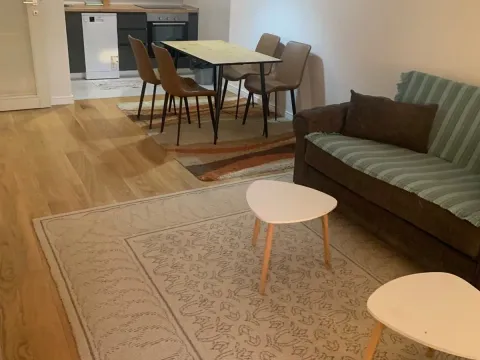 Izdavanje, jednosoban stan, 49m², Central Point, Podgorica - image 2
