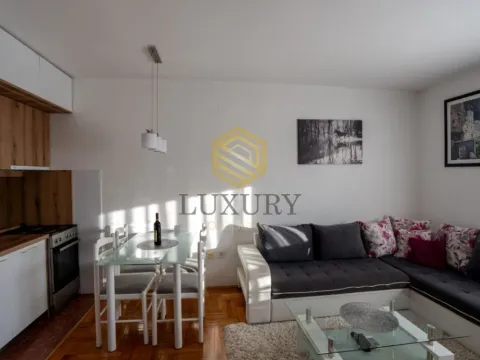 Izdavanje, garsonjera, 30m², Stari Aerodrom, Podgorica - image 9