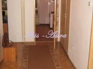 Izdavanje, poslovni prostor, 84m², Kalenić Pijaca, Vračar Sve Podlokacije - image 11