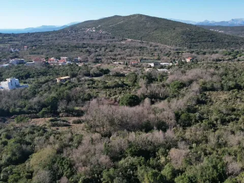 Prodaja, plac, 2450m², Krimovica, Kotor - image 6