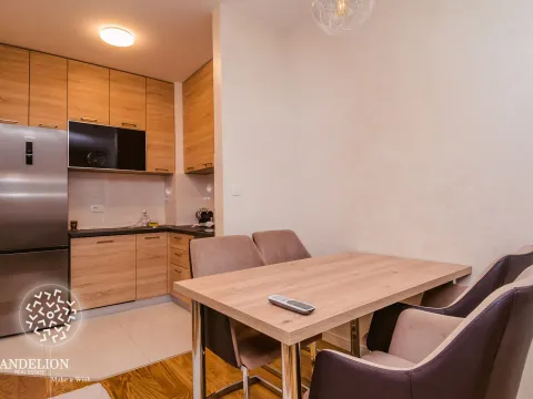 Izdavanje, jednosoban stan, 50m², Central Point, Podgorica - image 10