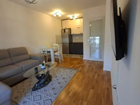 Izdavanje, jednosoban stan, 40m², Pobrežje, Podgorica - image 13