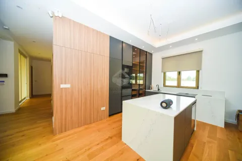 Modern kitchen with an island and built-in appliances in a contemporary interior. - image 19