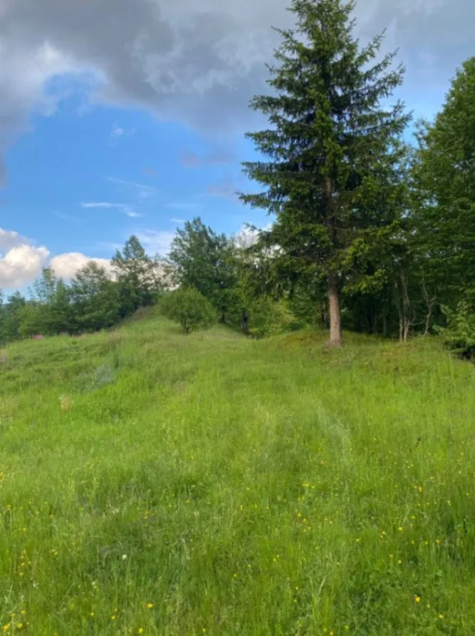 Prodaja, plac, 1350m², Moračko Trebaljevo, Kolašin