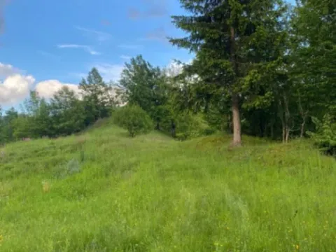 Prodaja,  zemljište, 1350m2, Moračko Trebaljevo, Kolašin