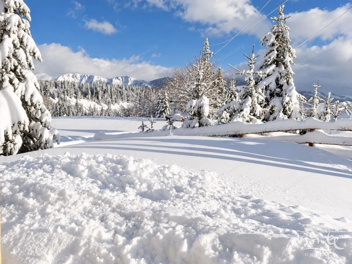 Snowy landscape with trees and mountains in the background.