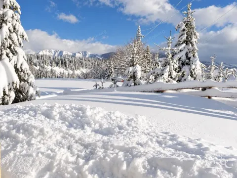 Snowy landscape with trees and mountains in the background. - image 28