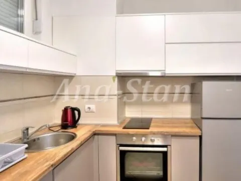 Izdavanje, dvosoban stan, 55m², Savski Venac, Beograd - image 4