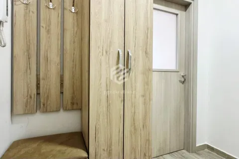Izdavanje, jednosoban stan, 48m², Zabjelo, Podgorica - image 11