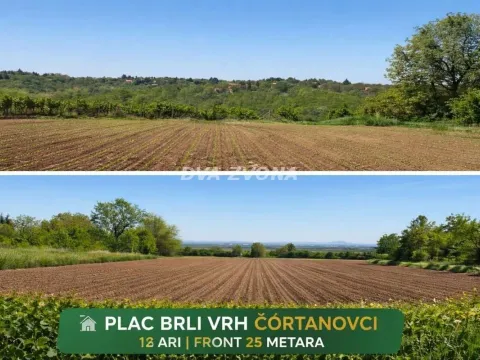 Sale, land lot, 1300m², Čortanovci, Inđija - image 1