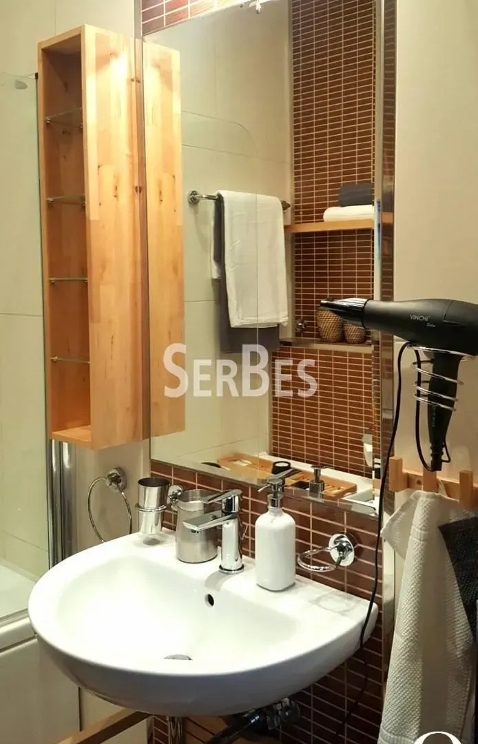 Rent, two bedroom apartment, 55m², Bulevar Oslobodjenja, Novi Sad Sve Podlokacije