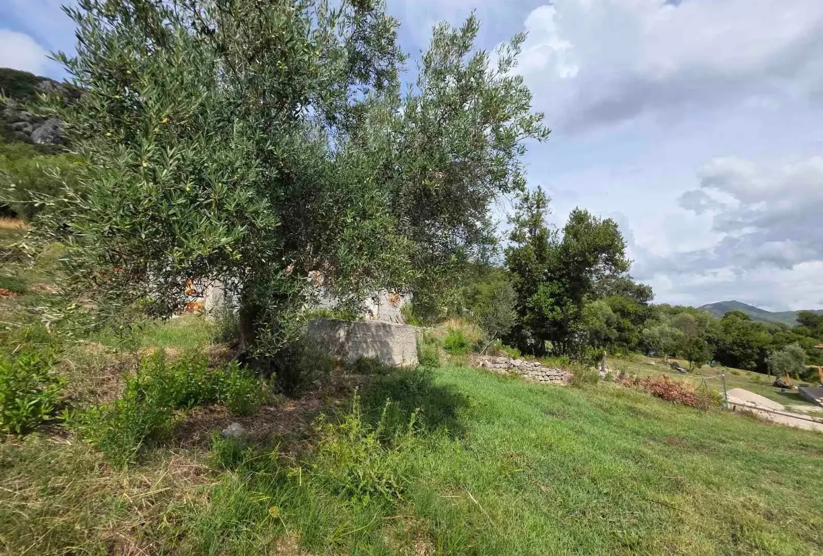 Prodaja, plac, 1058m², Herceg Novi, Crna Gora
