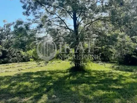 Sale, land lot, Kosmaj, Sopot - image 5