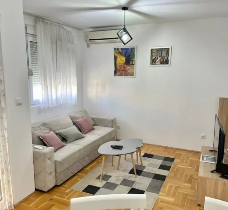Rent, one bedroom apartment, 42m², Zagorič, Podgorica