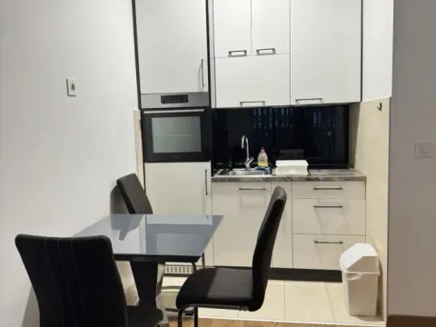 Izdavanje, dvosoban stan, 40m², Centar, Novi Sad - image 4