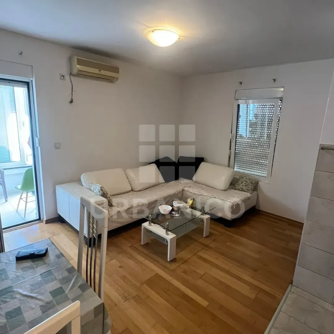 Rent, one bedroom apartment, 42m², Ljubović, Podgorica