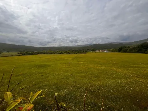 Prodaja, plac, 1982m², Danilovgrad, Crna Gora - image 3