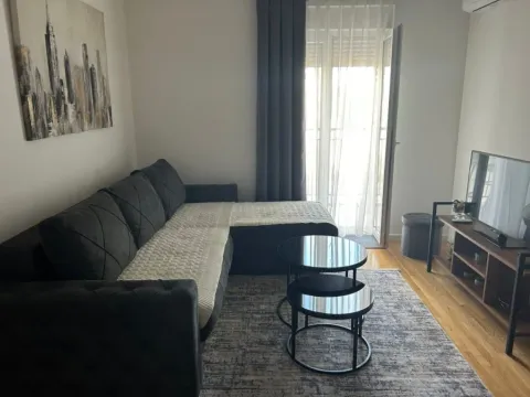 Izdavanje, jednosoban stan, 40m², Zabjelo, Podgorica - image 6