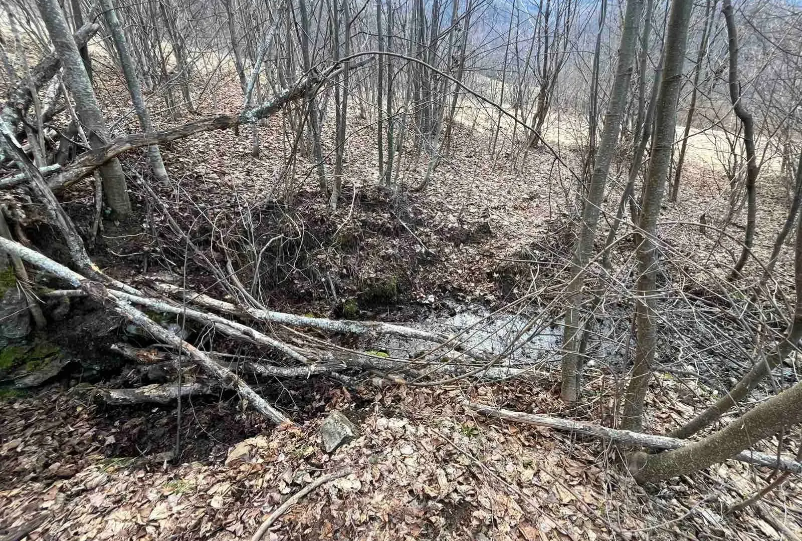 Prodaja, plac, 3500m², Nadgora, Žabljak