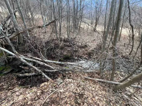 Prodaja, plac, 3500m², Nadgora, Žabljak - image 9