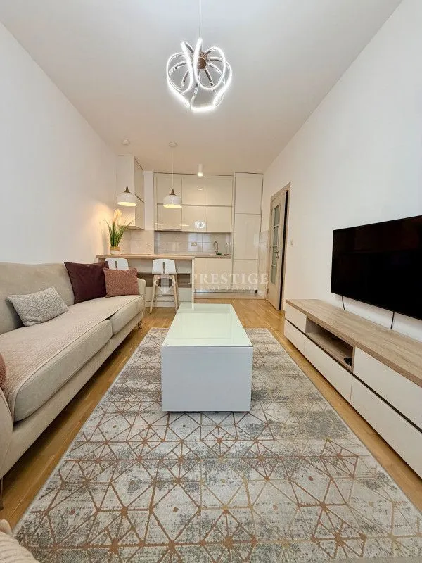 Rent, one bedroom apartment, 44m², Blok 9, Podgorica