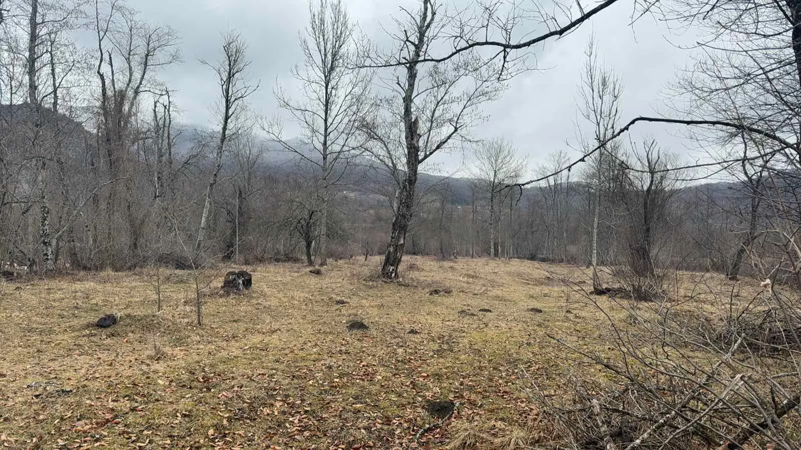 Prodaja, plac, 6500m², Blatina, Kolašin