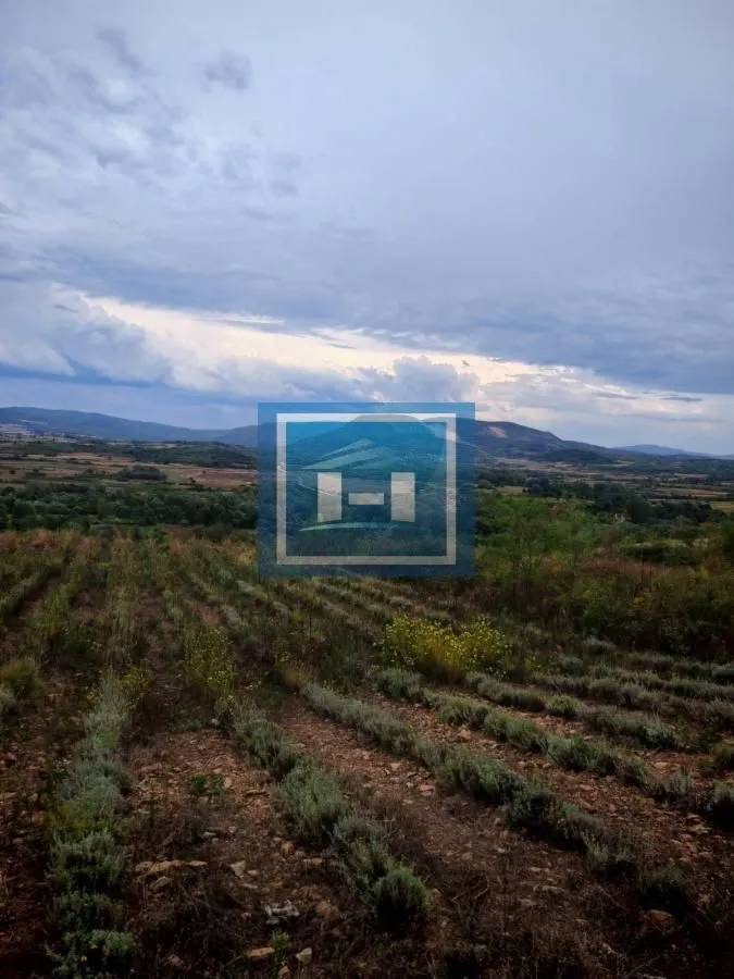 Prodaja, plac, 187m², Bošnjane, Paraćin