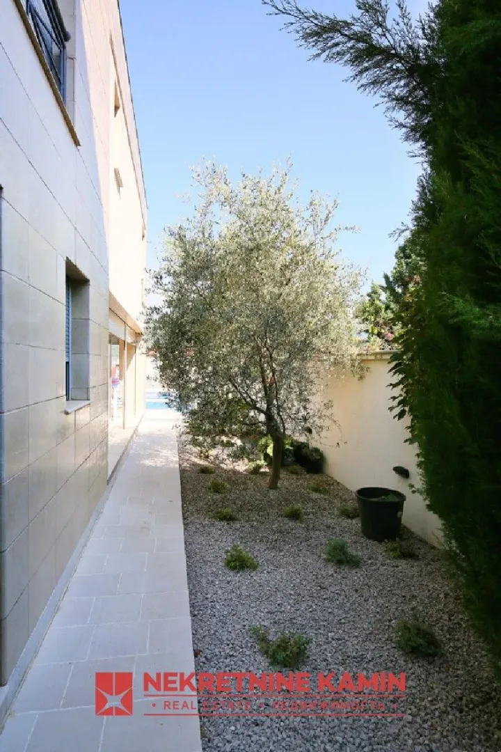 Side courtyard area with paved paths and an olive tree next to the building.