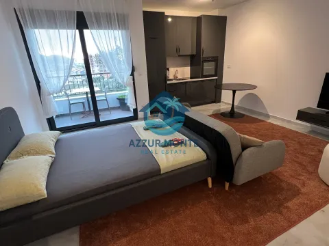 Rent, studio apartment, 38m², Čeluga, Bar - image 2