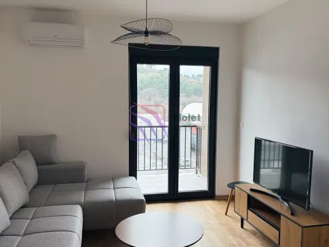 Rent, one bedroom apartment, 40m², Zabjelo, Podgorica - image 1