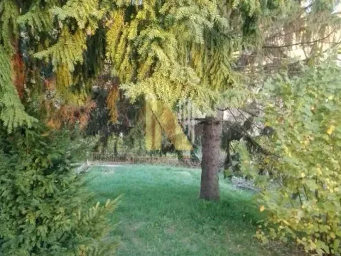 Sale, house, 79m², Banja Vrdnik, Irig - image 13