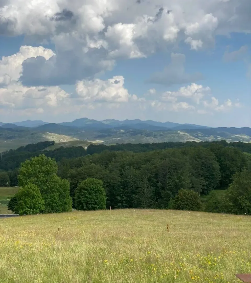 Sale, land lot, 1000m², Pošćenski Kraj, Žabljak