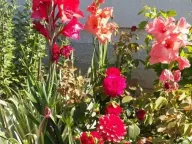 Prodaja, kuća, 44m², Gotovuša, Pljevlja - image 8